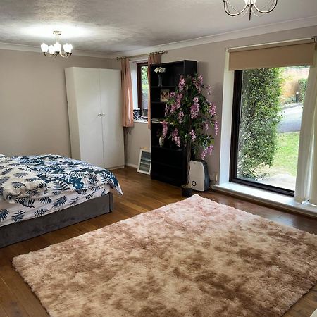 Stunning 2 Bedroom With Garden Sleep 6 لندن المظهر الخارجي الصورة