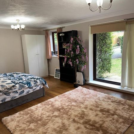 Stunning 2 Bedroom With Garden Sleep 6 لندن المظهر الخارجي الصورة